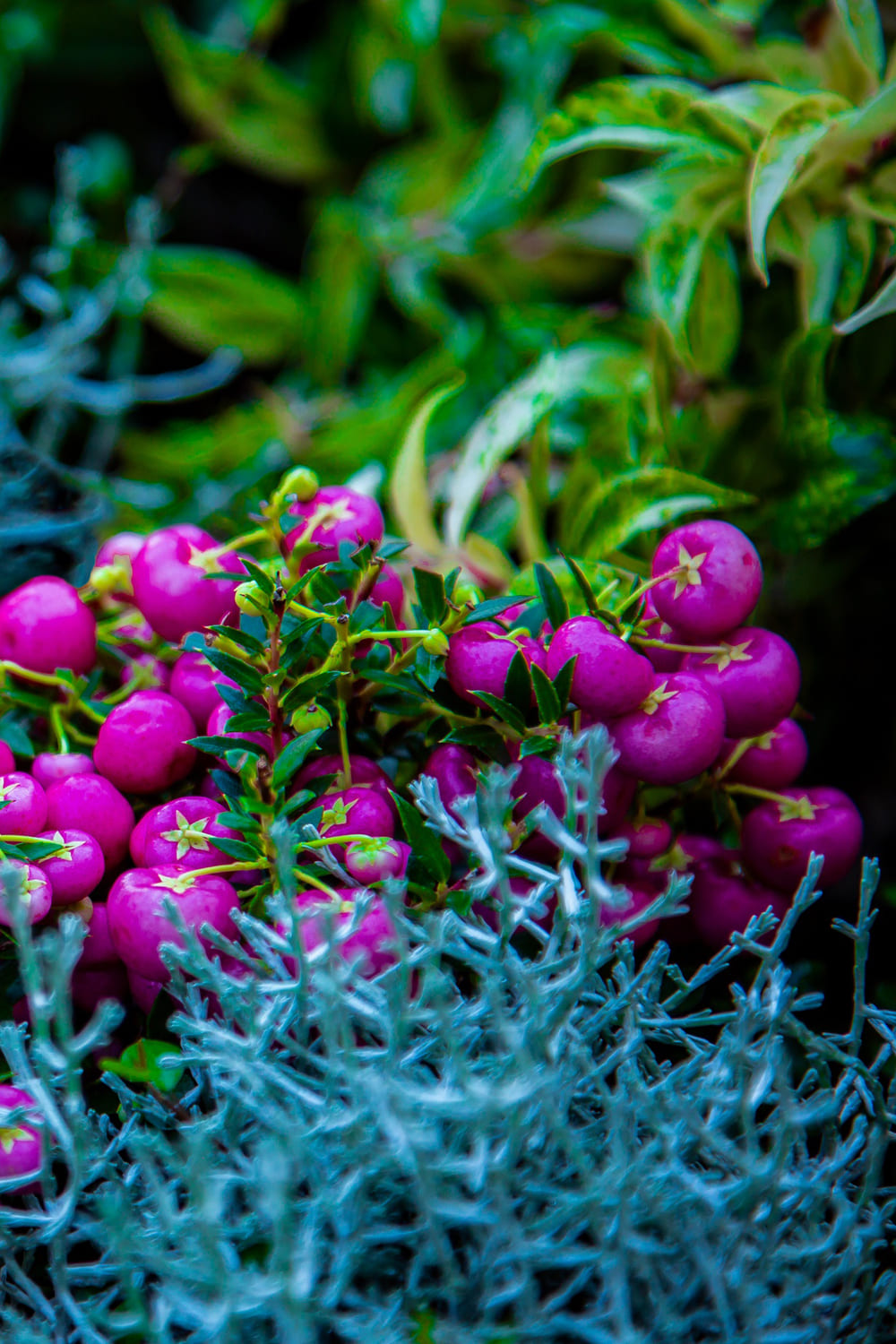 Friedhofservice und Grabpflege